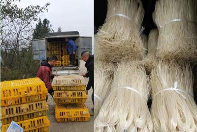 重慶中煙涪陵卷煙廠助銷蒲板村農副產品，點亮鄉村振興之路