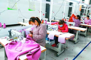 丹陽(yáng)聯(lián)村黨委實(shí)踐 圍繞主導(dǎo)產(chǎn)業(yè)發(fā)展集體經(jīng)濟(jì)，提升農(nóng)副產(chǎn)品競(jìng)爭(zhēng)力