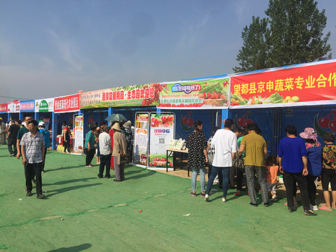 望都2017櫻桃文化旅游節(jié)暨農(nóng)副產(chǎn)品展銷(xiāo)會(huì)拉開(kāi)帷幕，助力地方特色食品銷(xiāo)售