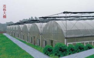 龍巖溫室大棚 科技賦能農副產品，世界工廠網助力產業騰飛