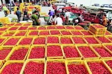 探尋國(guó)內(nèi)大型水果批發(fā)市場(chǎng) 分布、特色與交通指南